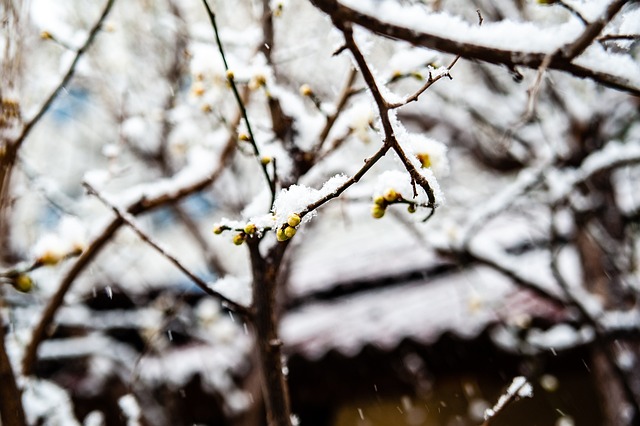 了一系列重